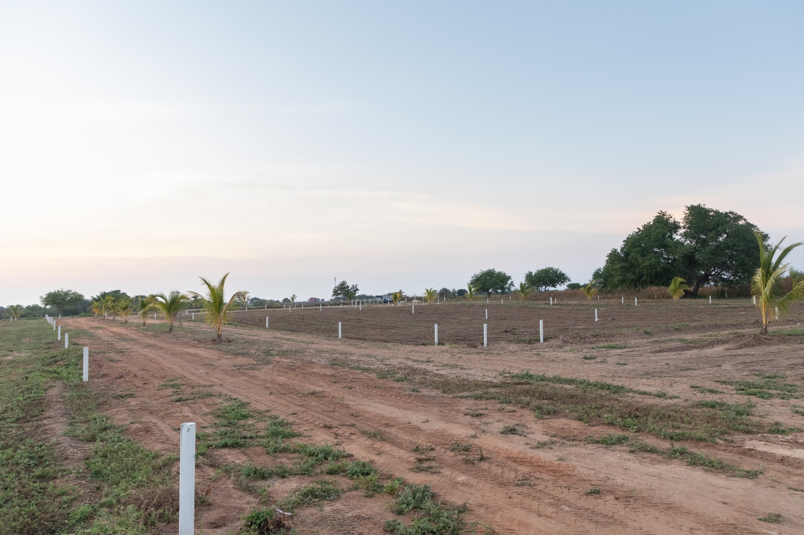 TERRENOS EN VENTA EN PUERTECITO, PUERTO ESCONDIDO , OAXACA